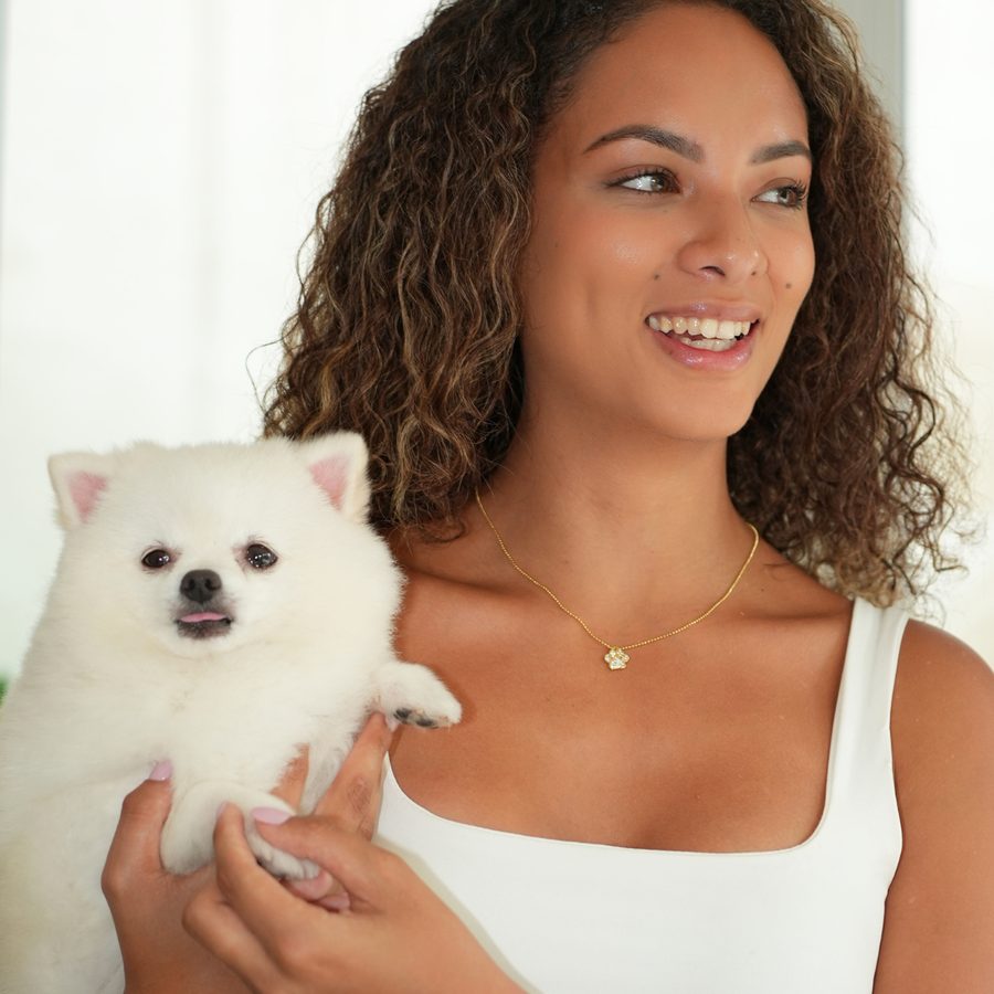 Pets campaign
