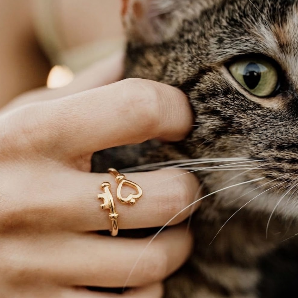 0001-4866646602929270676.png