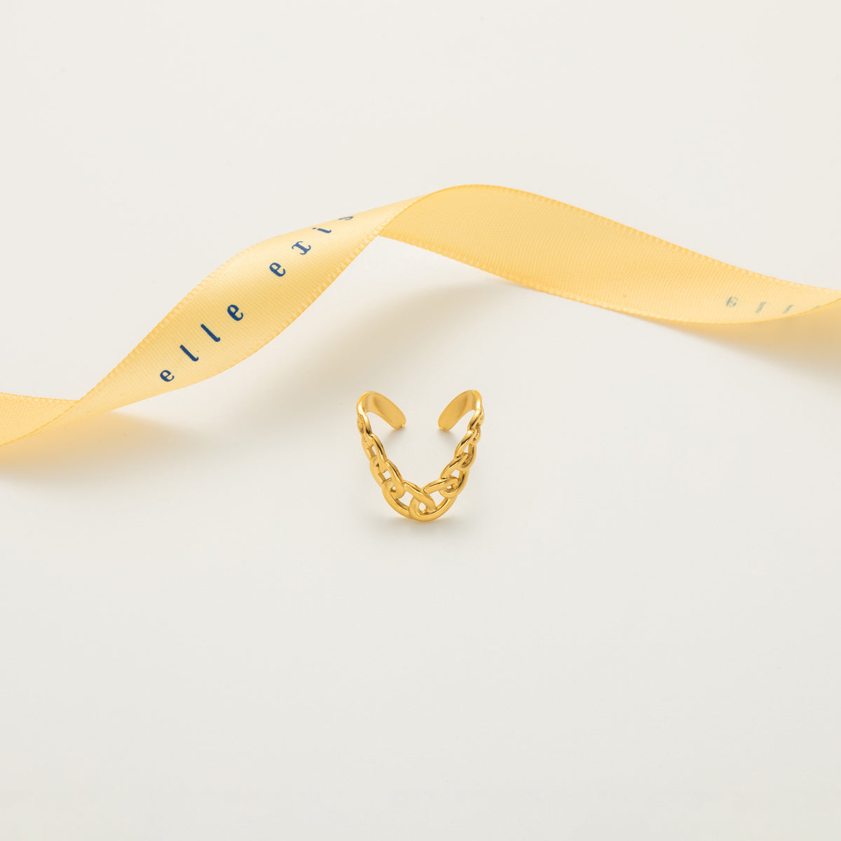 Chainlink Charm