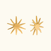 Stellar Bursts